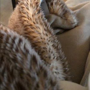 Meet your Posher, Susan